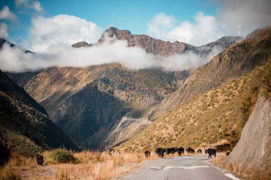 Nujiang River Valley in Qamdo, Tibet, China