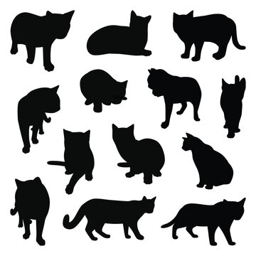 Vector collection set of domestic cat silhouettes.