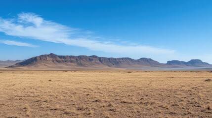 Expansive desert landscape under a clear blue sky, featuring a mountain range in the distance.