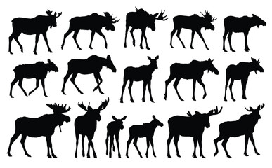 The set silhouettes of forest moose.
