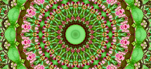 Kaleidoscopic Pattern