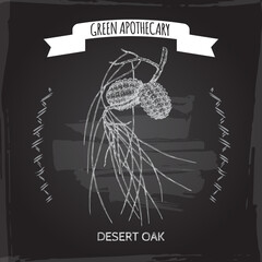 Desert oak aka Allocasuarina decaisneana sketch on black background. Green apothecary series.