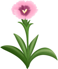 Mini Dianthus Illustration Edible Flowers
