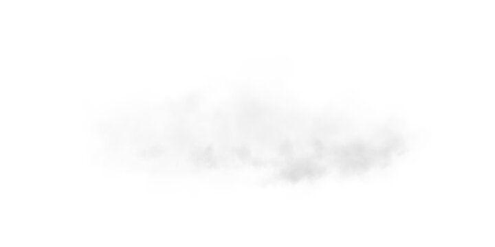 A soft, airy fog spreads across the scene, creating a subtle, ethereal atmosphere. Light gray mist with delicate diffusion blends seamlessly into the background, evoking a sense of calm and mystery.