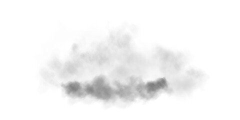 A soft, airy fog spreads across the scene, creating a subtle, ethereal atmosphere. Light gray mist with delicate diffusion blends seamlessly into the background, evoking a sense of calm and mystery.