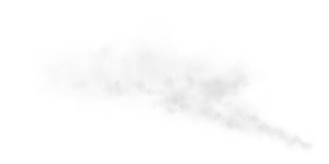 A soft, airy fog spreads across the scene, creating a subtle, ethereal atmosphere. Light gray mist with delicate diffusion blends seamlessly into the background, evoking a sense of calm and mystery.