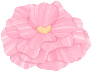 Hoary Stock Illustration Edible Flowers