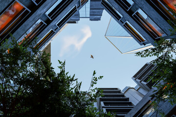 Modern urban courtyard view with flying bird and clear sky - 3D Illustration