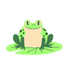 frog on white background