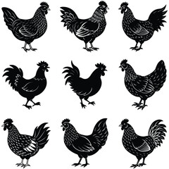 Set of Hen Silhouettes in Black on White Background