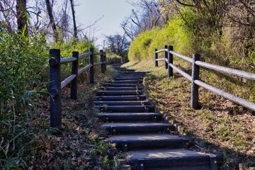 長い階段の道