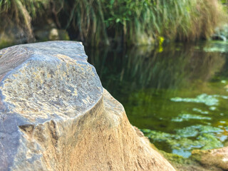 Close up of eroded rock surface with greenery in background. Meditative and natural scene emphasizing harmony with nature