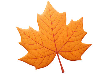 Obraz premium Hyper-Realistic Textured Autumn Leaf in Deep Orange Color