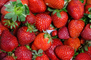 Vibrant red strawberries glistening in the sunlight at a bustling farmers market during summer harvest season