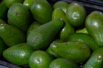 Fresh green avocados piled together at a vibrant marketplace in the afternoon sun
