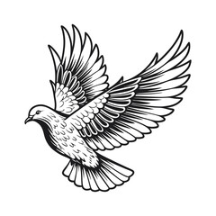 Obraz premium Dove vector illustration, hand drawn style, detailed vector, monochrome design, isolated on a white background