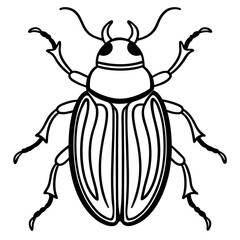 Geometric Beetle Line Art: A detailed line art illustration of a beetle, showcasing its segmented body, antennae, and intricate patterns, perfect for graphic design and educational purposes.