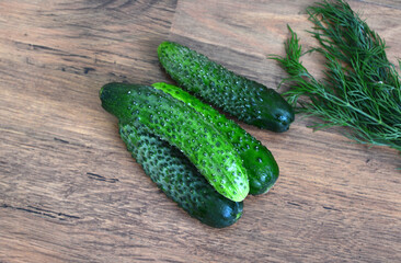 Fresh cucumbers and dill on a wooden table