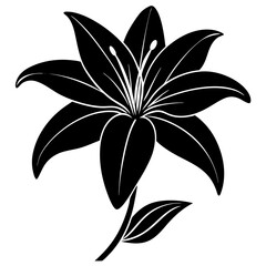 black and white flower