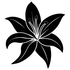 black and white flower