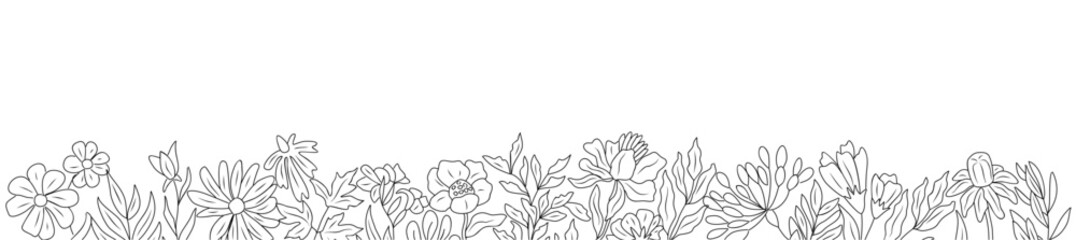 Wild blooming meadow flowers and herbs border. Horizontal banner, floral overlay backdrop. Botanical monochrome ink sketch style hand drawn vector illustration isolated on transparent background.