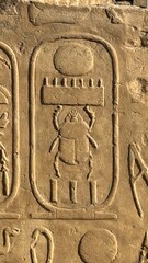 Jeroglífico de un escarabajo en Egipto