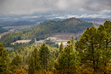 Obraz premium Elevated view of a Tenerife's village nestled among dense forests with majestic mountains in the background