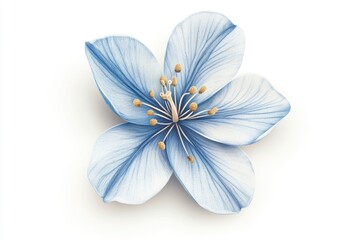 Detailed Blue Flower Blossom with Golden Stamen on White Background