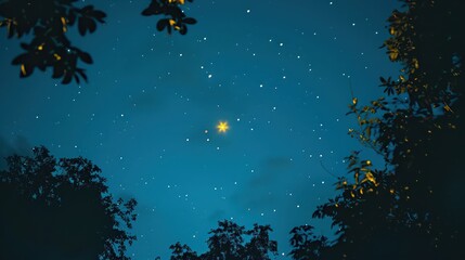 Fototapeta premium A firefly's light glowing brightly against a dark blue sky filled with stars.