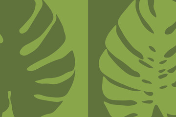 Monstera leaves, green flat illustration of plant