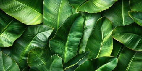 Lush green leaves create a vibrant natural backdrop in a tropical setting during daylight hours