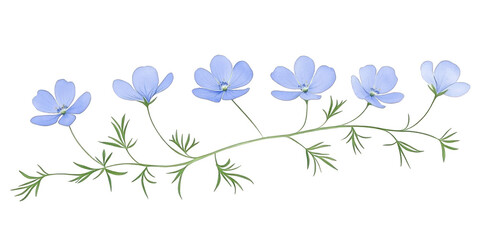 Delicate Blue Floral Branch Illustration Featuring Watercolor Flowers and Green Leaves Isolated On Transparent Black Background