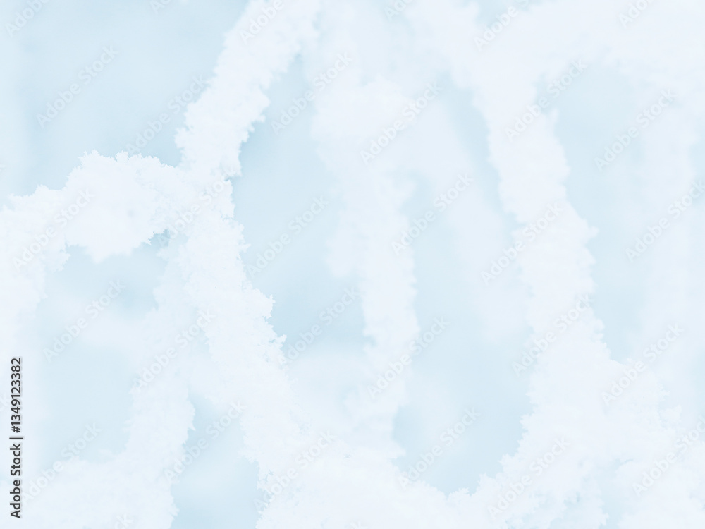 Wall mural snow and rime ice on the branches of bushes. beautiful winter background with trees covered with hoa
