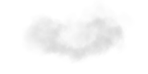 A soft, airy fog spreads across the scene, creating a subtle, ethereal atmosphere. Light gray mist with delicate diffusion blends seamlessly into the background, evoking a sense of calm and mystery.