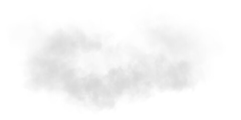 Fototapeta premium A soft, airy fog spreads across the scene, creating a subtle, ethereal atmosphere. Light gray mist with delicate diffusion blends seamlessly into the background, evoking a sense of calm and mystery.