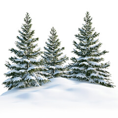 Fototapeta premium Snow-Covered Pine Trees In Winter Landscape. Tranquil Nature Scene With Fresh Snowfall Isolated On Transparent Background