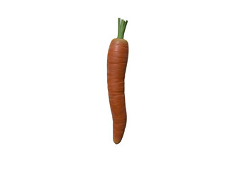 Carrot