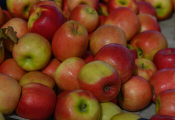 Vibrant assortment of red and green apples displayed at a bustling farmer's market during the autumn harvest season