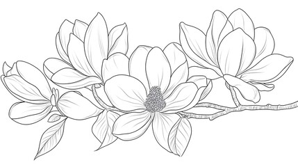 Fototapeta premium Detailed Anti-Stress Coloring Page with Bouquet of Magnolias for Relaxation Therapy