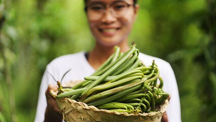 Portrait of a smiling young woman vanilla farmer with harvest beans on a plantation