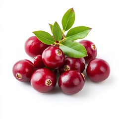 Generic Small Cluster Overview Pure Green Attached