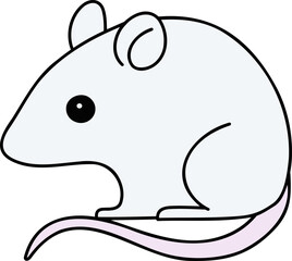 쥐