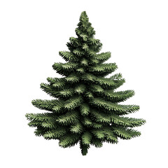 Fototapeta premium lush-small-christmas-tree-pine-holiday-decoration