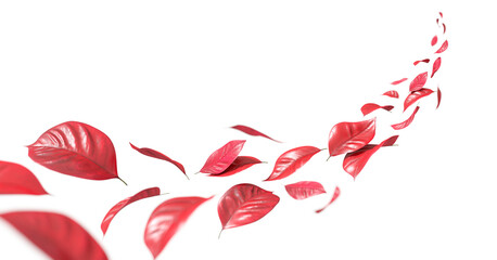 Red leafs autumnal flying flow isolate on backgrounds 3d rendering png