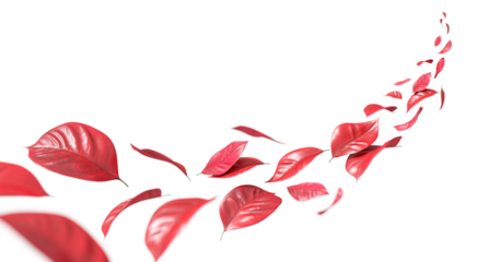 Red leafs autumnal flying flow isolate on backgrounds 3d rendering png