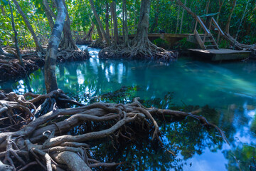Tha Pom is one of the Unseen Thailand tourist attractions. It is an ecological study center to...