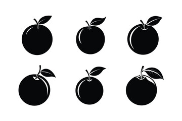 Orange – Citrus sinensis silhouette vector illustration