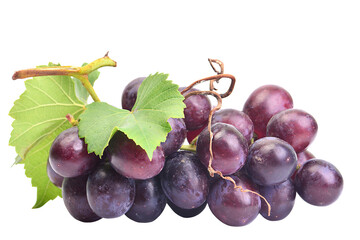 Red grape isolated on white