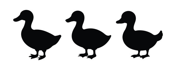 Duck Silhouette Illustration of a Domestic Waterfowl Standing on Land
