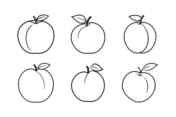 Peach – Prunus persica line art vector illustration